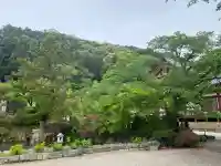 矢田寺観音堂の{uncategorized: "未分類", other: "その他", undefined: "問題あり", building: "その他建物", grave: "お墓", sacred_gate: "鳥居", guardian: "狛犬", statue: "像", buddha: "仏像", history: "歴史", nature: "自然", garden: "庭園", animal: "動物", pagoda: "塔", temizu: "手水舎", mountain_gate: "山門・神門", sanctuary: "本殿・本堂", subordinate: "末社・摂社", art: "芸術", scenery: "景色", jizo: "地蔵", ema: "絵馬", goshuin: "御朱印", omikuji: "おみくじ", items: "授与品その他", amulet: "お守り", goshuincho: "御朱印帳", eats: "食事", festival: "お祭り", votive_dance: "神楽", shichigosan: "七五三参", wedding: "結婚式", experience: "体験その他", initially: "初詣", around: "周辺", anti_infection: "感染症対策"}