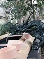 下野 星宮神社の手水舎