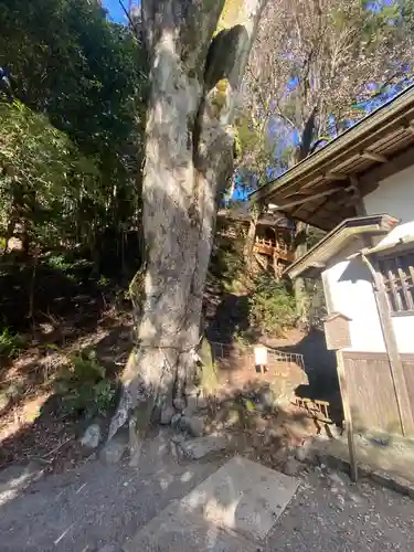 丹生川上神社（下社）のその他建物