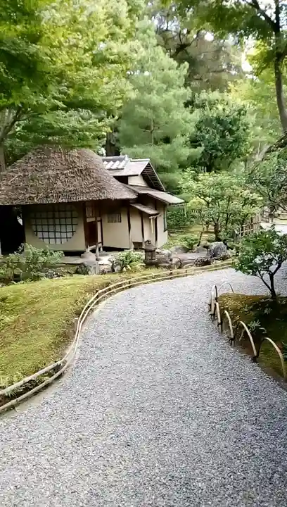 高台寺(高台寿聖禅寺・高臺寺)の庭園