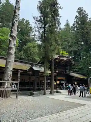 諏訪大社下社春宮の本殿・本堂