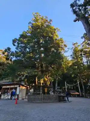 大神神社(奈良県)