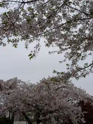 下高井戸八幡神社(東京都)