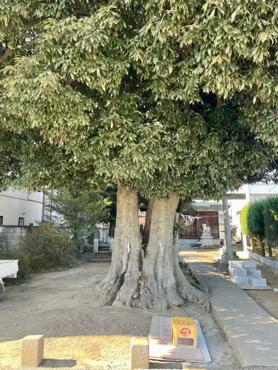 御嶽神社の{uncategorized: "未分類", other: "その他", undefined: "問題あり", building: "その他建物", grave: "お墓", sacred_gate: "鳥居", guardian: "狛犬", statue: "像", buddha: "仏像", history: "歴史", nature: "自然", garden: "庭園", animal: "動物", pagoda: "塔", temizu: "手水舎", mountain_gate: "山門・神門", sanctuary: "本殿・本堂", subordinate: "末社・摂社", art: "芸術", scenery: "景色", jizo: "地蔵", ema: "絵馬", goshuin: "御朱印", omikuji: "おみくじ", items: "授与品その他", amulet: "お守り", goshuincho: "御朱印帳", eats: "食事", festival: "お祭り", votive_dance: "神楽", shichigosan: "七五三参", wedding: "結婚式", experience: "体験その他", initially: "初詣", around: "周辺", anti_infection: "感染症対策"}