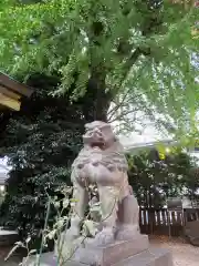 大鳥神社の狛犬