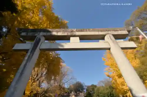 玉敷神社(埼玉県)