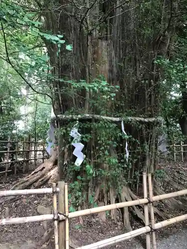 大國魂神社の自然