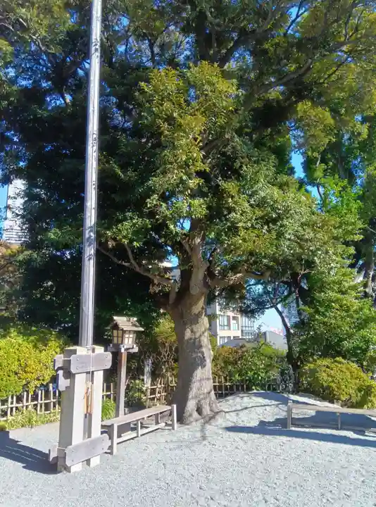 伊勢山皇大神宮(神奈川県)
