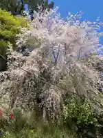 導故院(京都府)