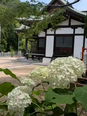 木華佐久耶比咩神社(岡山県)