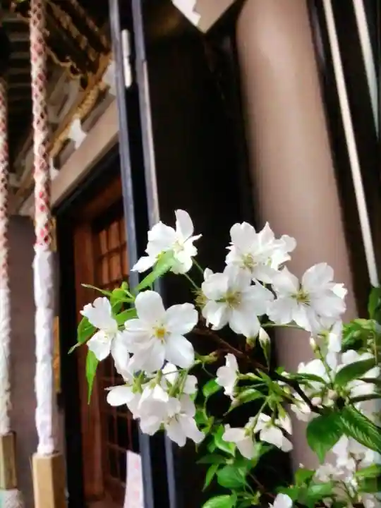 十番稲荷神社(東京都)