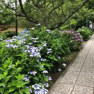 有珠善光寺(北海道)