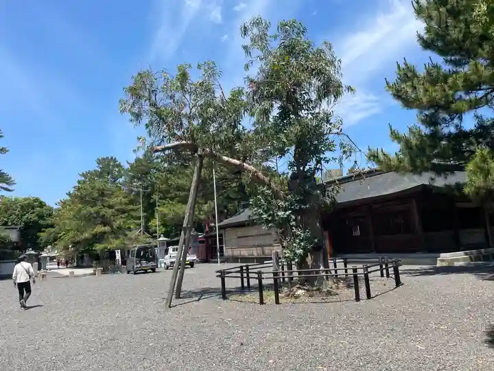 氣比神宮(福井県)