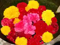 真言宗 善通寺派 薬王寺(香川県)