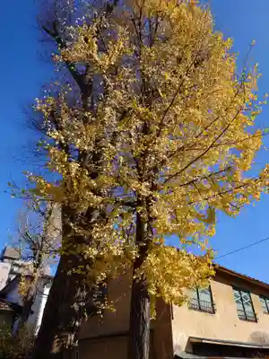 阿邪訶根神社(福島県)
