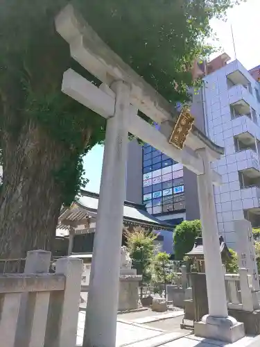 柏神社(千葉県)