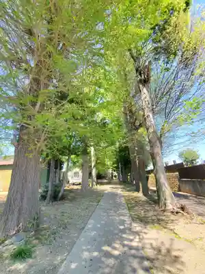 熊野神社(栃木県)