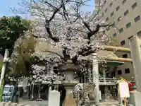 白神社の{uncategorized: "未分類", other: "その他", undefined: "問題あり", building: "その他建物", grave: "お墓", sacred_gate: "鳥居", guardian: "狛犬", statue: "像", buddha: "仏像", history: "歴史", nature: "自然", garden: "庭園", animal: "動物", pagoda: "塔", temizu: "手水舎", mountain_gate: "山門・神門", sanctuary: "本殿・本堂", subordinate: "末社・摂社", art: "芸術", scenery: "景色", jizo: "地蔵", ema: "絵馬", goshuin: "御朱印", omikuji: "おみくじ", items: "授与品その他", amulet: "お守り", goshuincho: "御朱印帳", eats: "食事", festival: "お祭り", votive_dance: "神楽", shichigosan: "七五三参", wedding: "結婚式", experience: "体験その他", initially: "初詣", around: "周辺", anti_infection: "感染症対策"}