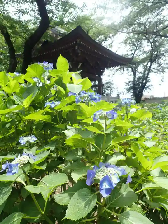 妙楽寺(神奈川県)