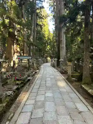 高野山金剛峯寺奥の院の{uncategorized: "未分類", other: "その他", undefined: "問題あり", building: "その他建物", grave: "お墓", sacred_gate: "鳥居", guardian: "狛犬", statue: "像", buddha: "仏像", history: "歴史", nature: "自然", garden: "庭園", animal: "動物", pagoda: "塔", temizu: "手水舎", mountain_gate: "山門・神門", sanctuary: "本殿・本堂", subordinate: "末社・摂社", art: "芸術", scenery: "景色", jizo: "地蔵", ema: "絵馬", goshuin: "御朱印", omikuji: "おみくじ", items: "授与品その他", amulet: "お守り", goshuincho: "御朱印帳", eats: "食事", festival: "お祭り", votive_dance: "神楽", shichigosan: "七五三参", wedding: "結婚式", experience: "体験その他", initially: "初詣", around: "周辺", anti_infection: "感染症対策"}