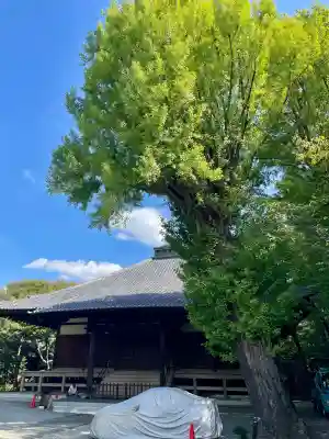 妙光院(東京都)