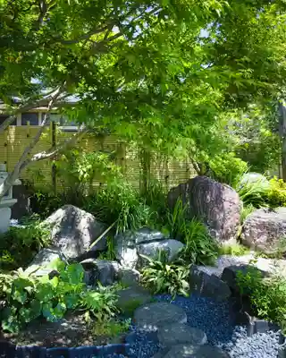 崇真寺(開運犬り切不動尊)(栃木県)