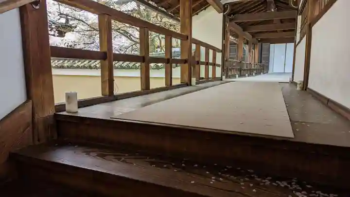 妙顯寺(妙顕寺)(京都府)