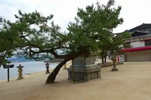 厳島神社の景色