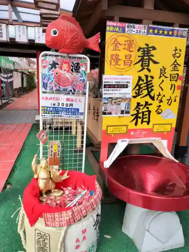 白崎八幡宮のおみくじ