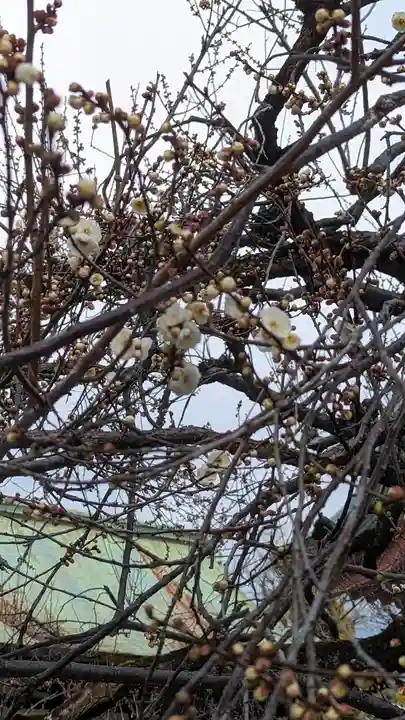 北野天満宮(京都府)