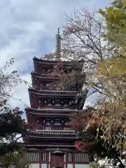 本土寺(千葉県)
