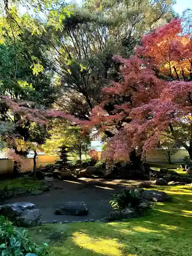 長仙寺の庭園