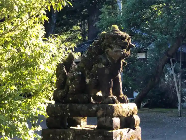 八幡宮の狛犬