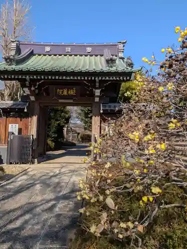 福蔵院(東京都)