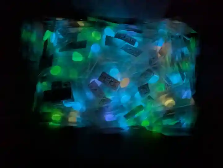 玉眞院玉川大師(東京都)