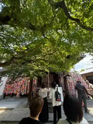 金剛寺（八坂庚申堂）(京都府)