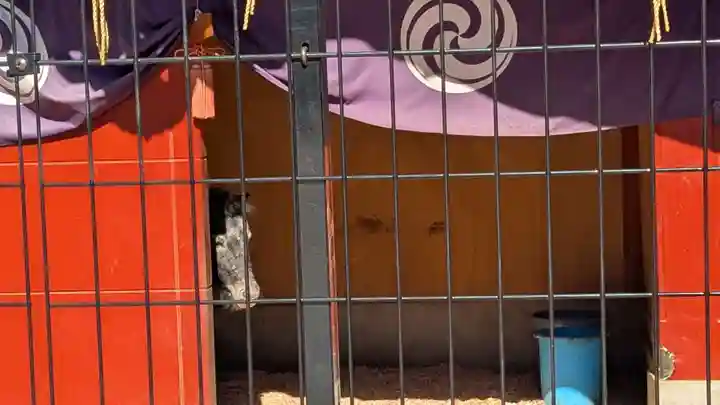 神田神社(神田明神)の動物