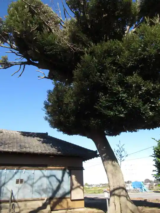香取神社(茨城県)