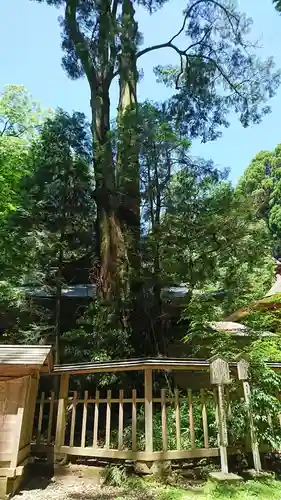 幣立神宮のその他建物