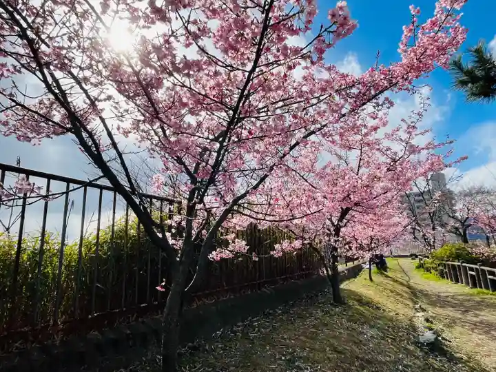 與杼神社(京都府)