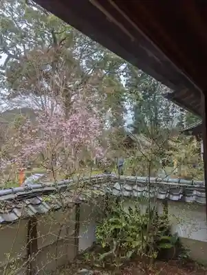 十輪寺(京都府)