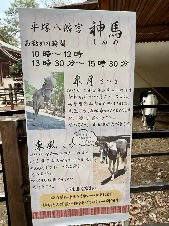 平塚八幡宮の{uncategorized: "未分類", other: "その他", undefined: "問題あり", building: "その他建物", grave: "お墓", sacred_gate: "鳥居", guardian: "狛犬", statue: "像", buddha: "仏像", history: "歴史", nature: "自然", garden: "庭園", animal: "動物", pagoda: "塔", temizu: "手水舎", mountain_gate: "山門・神門", sanctuary: "本殿・本堂", subordinate: "末社・摂社", art: "芸術", scenery: "景色", jizo: "地蔵", ema: "絵馬", goshuin: "御朱印", omikuji: "おみくじ", items: "授与品その他", amulet: "お守り", goshuincho: "御朱印帳", eats: "食事", festival: "お祭り", votive_dance: "神楽", shichigosan: "七五三参", wedding: "結婚式", experience: "体験その他", initially: "初詣", around: "周辺", anti_infection: "感染症対策"}