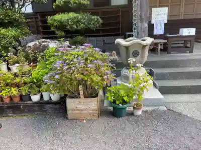 長光寺のその他建物