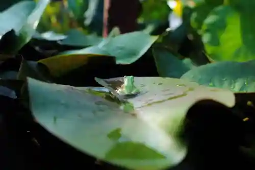 浄土寺(兵庫県)