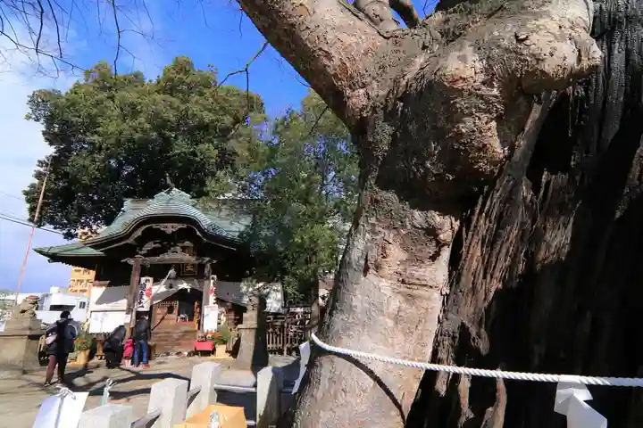阿邪訶根神社の本殿・本堂
