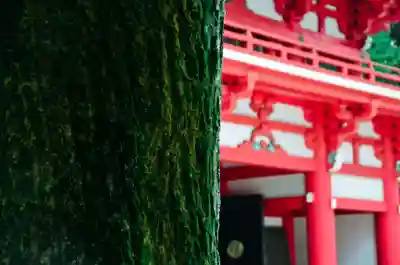 井草八幡宮(東京都)