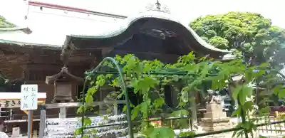 下総国三山　二宮神社のその他建物