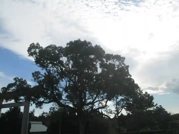 屋久島大社(鹿児島県)