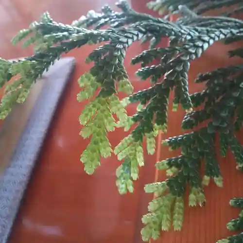 七重浜海津見神社(北海道)