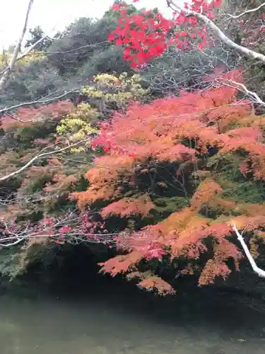 小松寺の自然